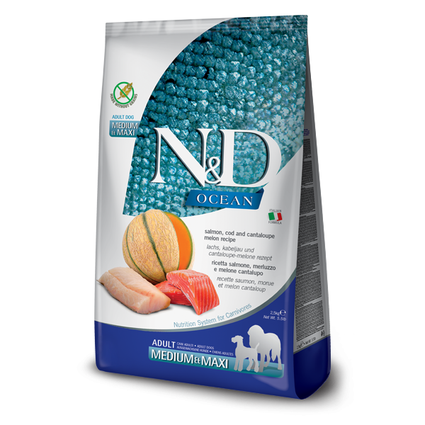 N&D OCEAN MORİNA BALIĞI, BALKABAĞI & KAVUN PUPPY MINI 800g